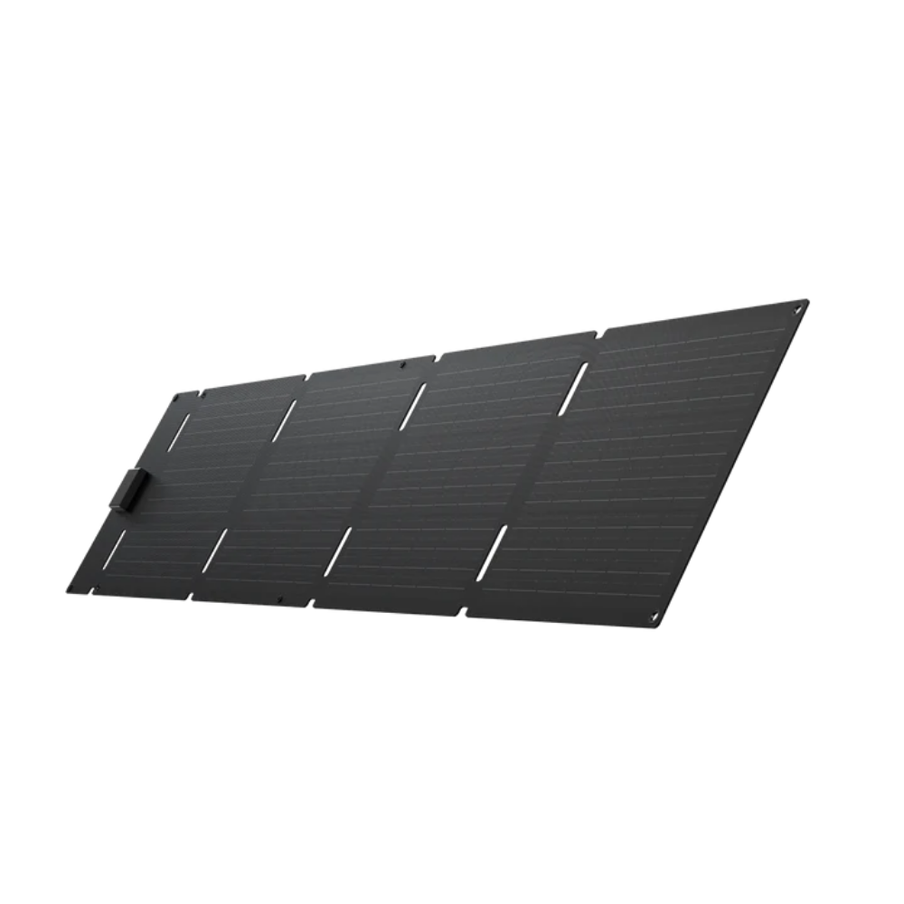 EcoFlow 60W Portable Solar Panel